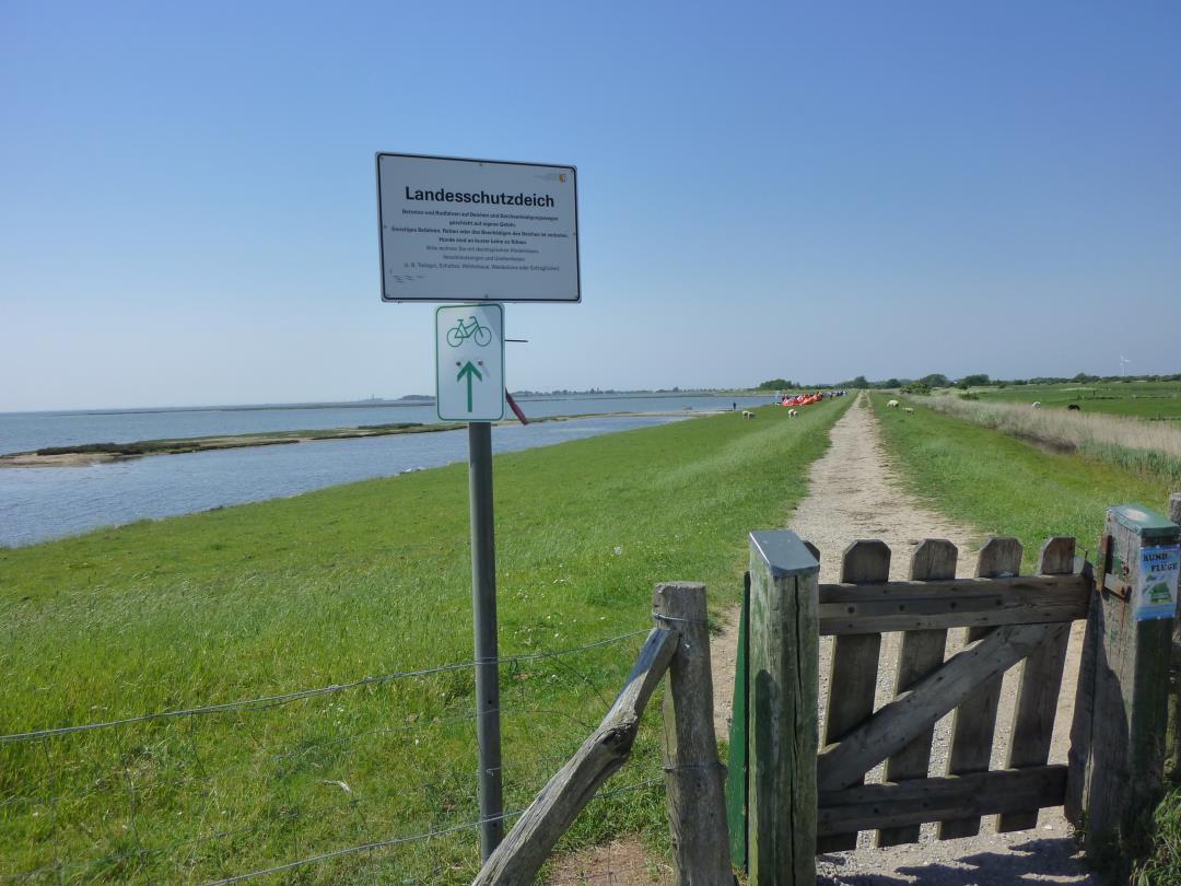 Der Weg zum Deich