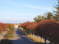 Blick vom Balkon zum Yachthafen